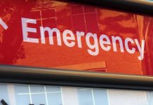 Estados Unidos reporta la primera muerte por peste bubónica en 2025